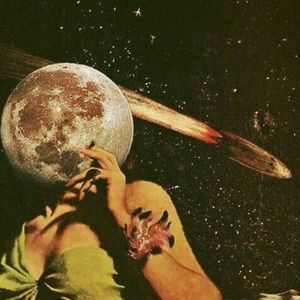 Meet your Posher, Joey